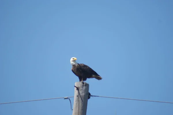 Justin-digital-pics-2nd-set-009