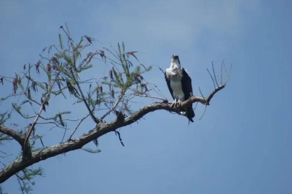 Justin-digital-pics-2nd-set-011